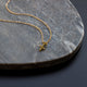 Mizodia Sternzeichenkette - Zodiac Charm